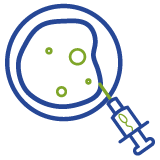 Intracytoplasmic Sperm Injection (ICSI)