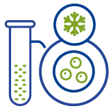 Frozen Embryo Transfer (FET)