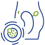 Ovulation Induction